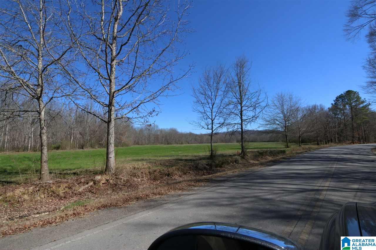0 Double Bridge Road, Unit 286 Ashville, AL 35953 - Photo 27 of 34