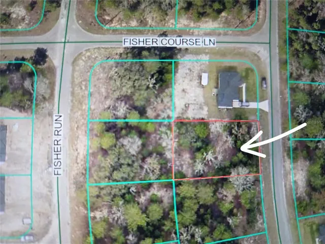 $29,000 | Fisher Course, Ocklawaha, FL 32179