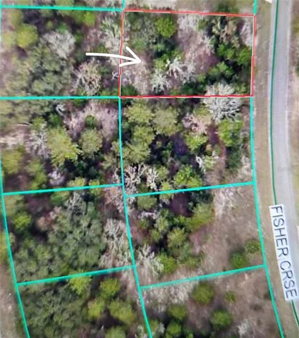 $29,000 | Fisher Course, Ocklawaha, FL 32179