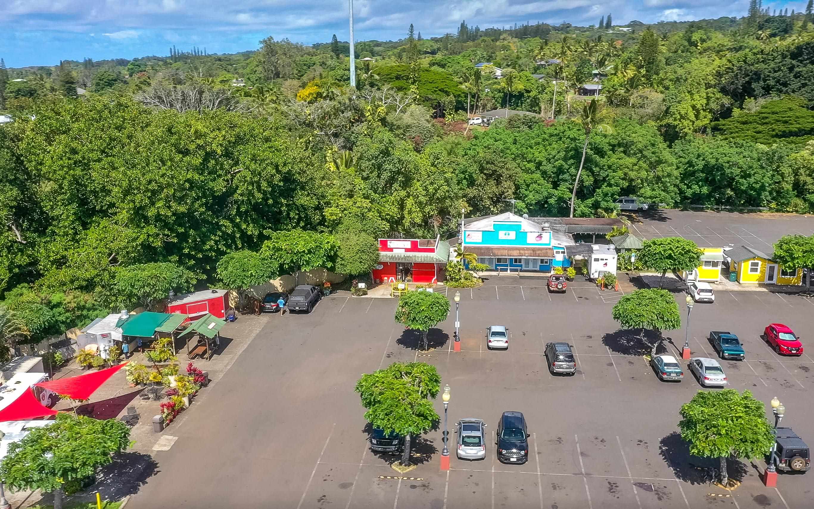 8 Laupapa Place Haiku, HI 96708 - Photo 28 of 30 an aerial view of a house with a yard