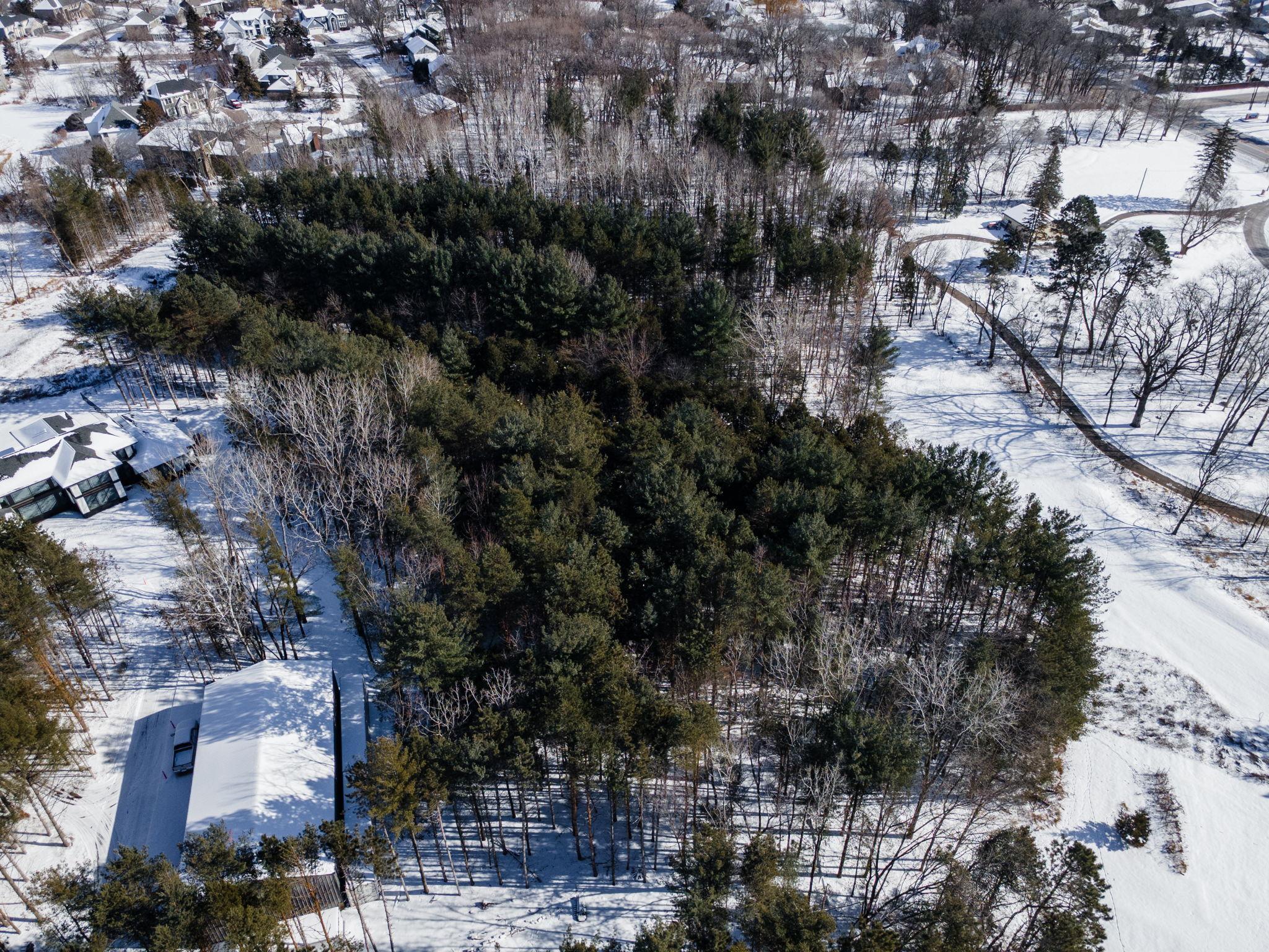 2022 Holy Name Drive Medina, MN 55391 - Photo 14 of 21