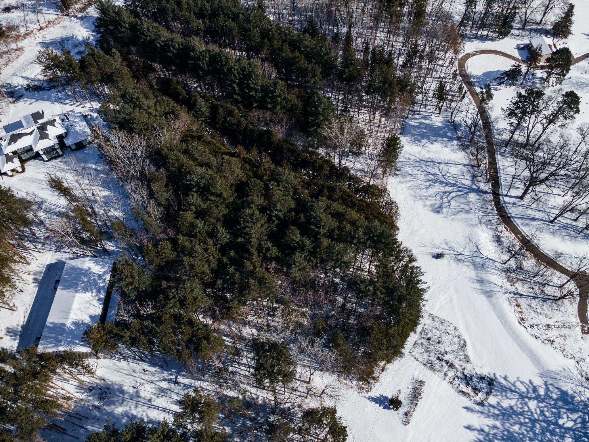 2022 Holy Name Drive Medina, MN 55391 - Photo 8 of 21