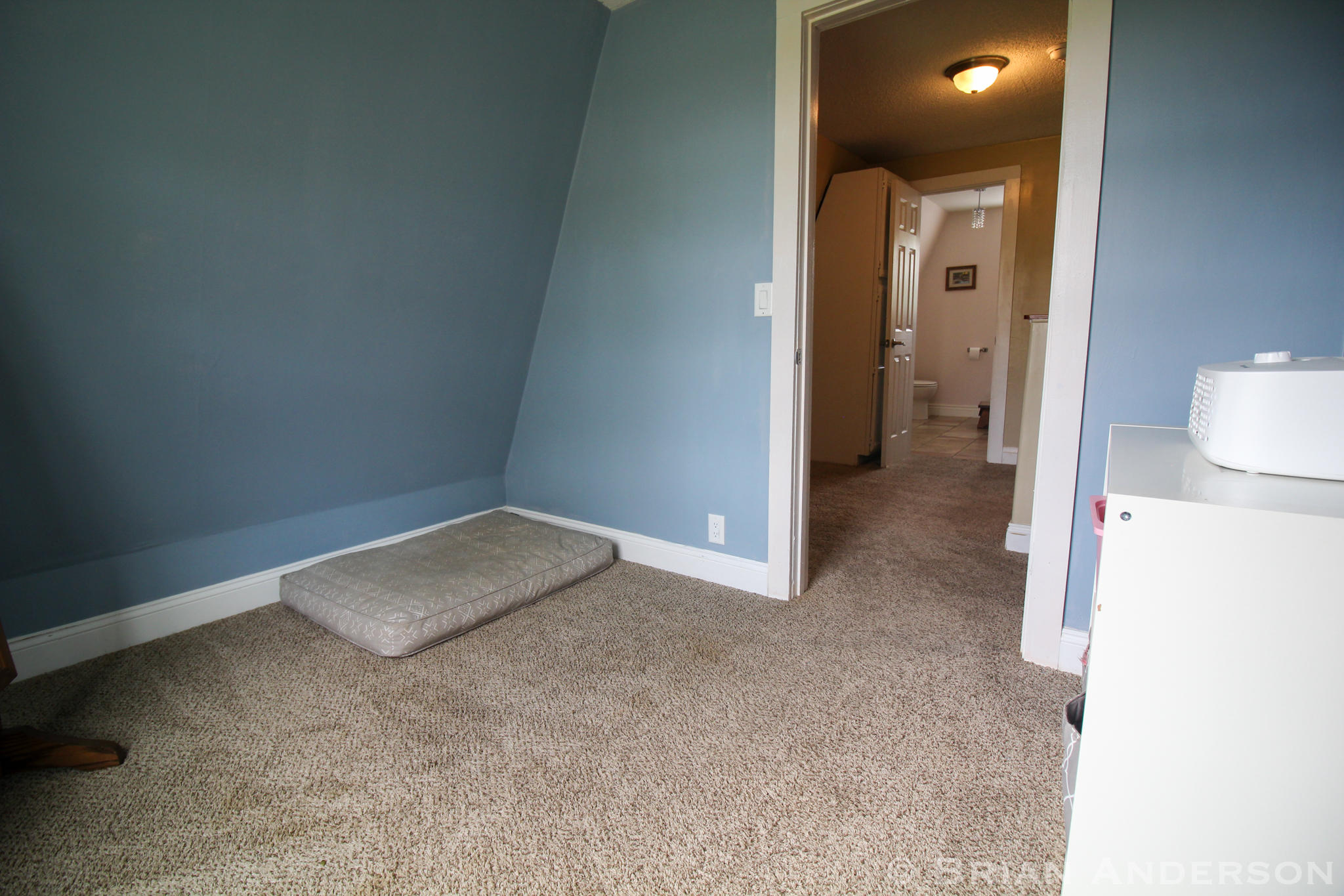 507 Gallagher Road Ionia, MI 48846 - Photo 41 of 62 IMG_3057