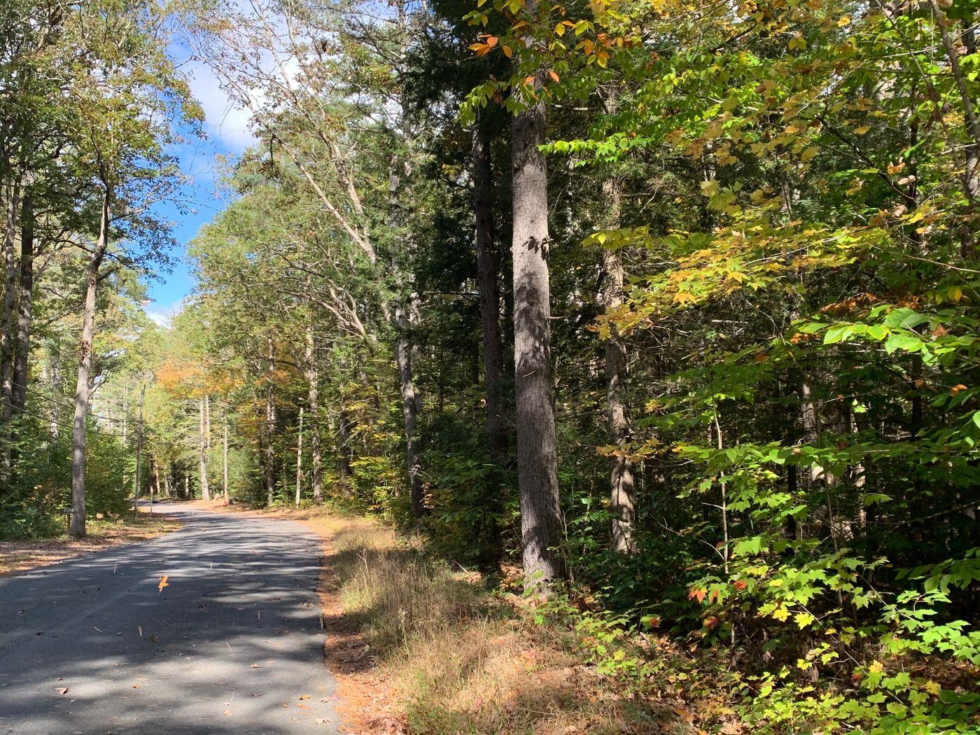 Forest Lake Road Winchester, NH 03470 - Photo 1 of 29