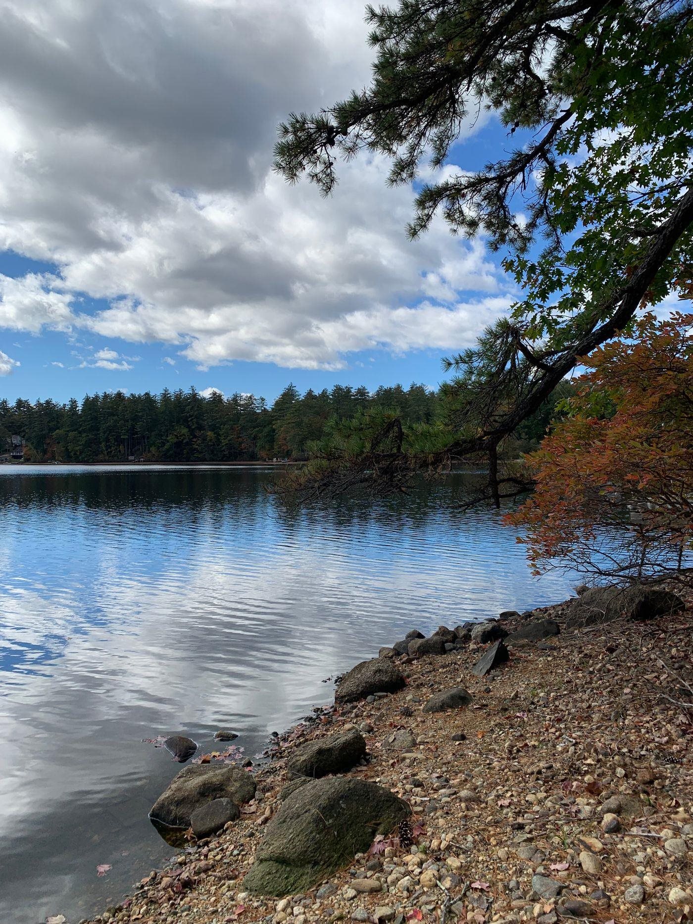 Forest Lake Road Winchester, NH 03470 - Photo 20 of 29