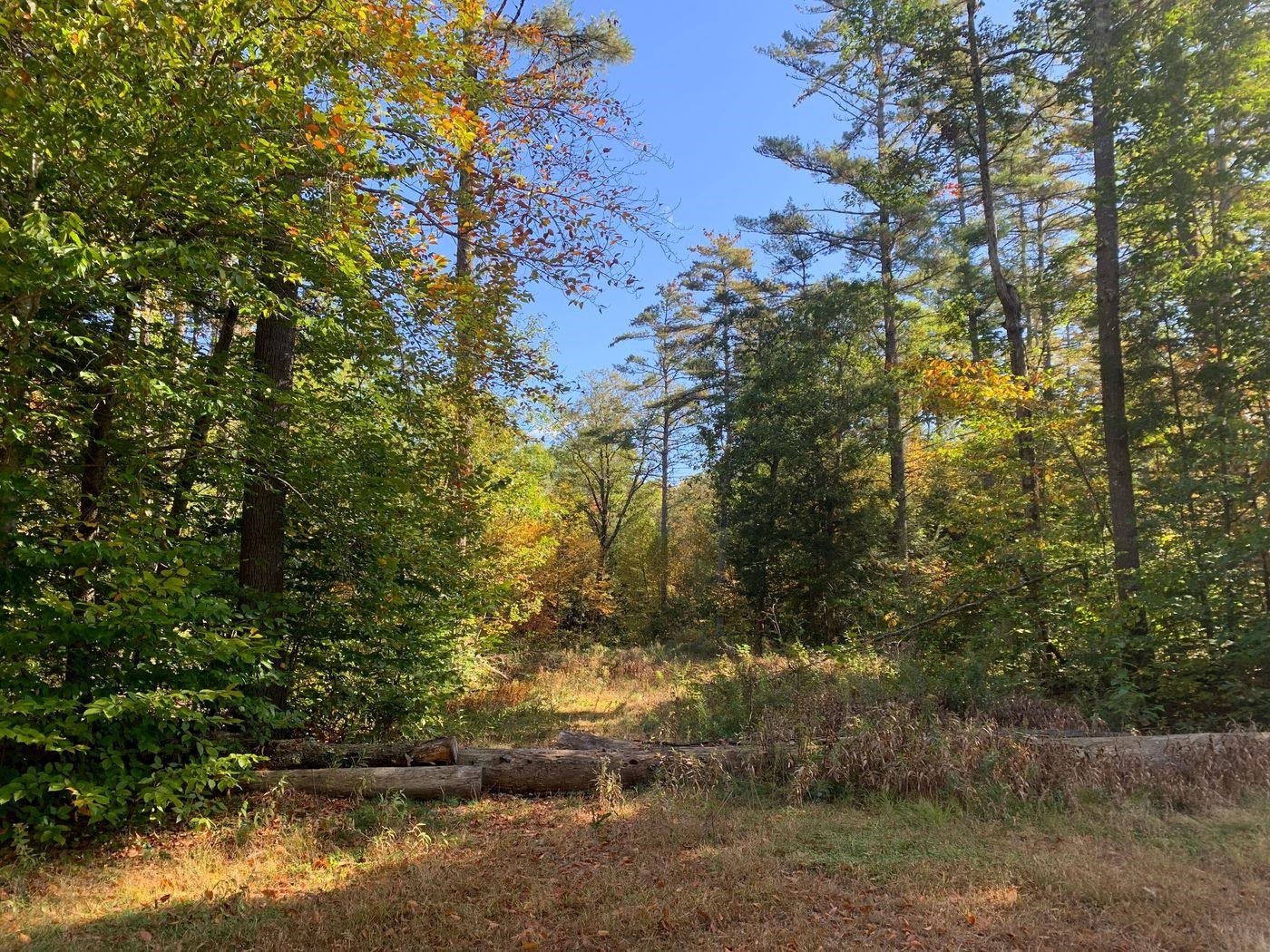 Forest Lake Road Winchester, NH 03470 - Photo 23 of 29