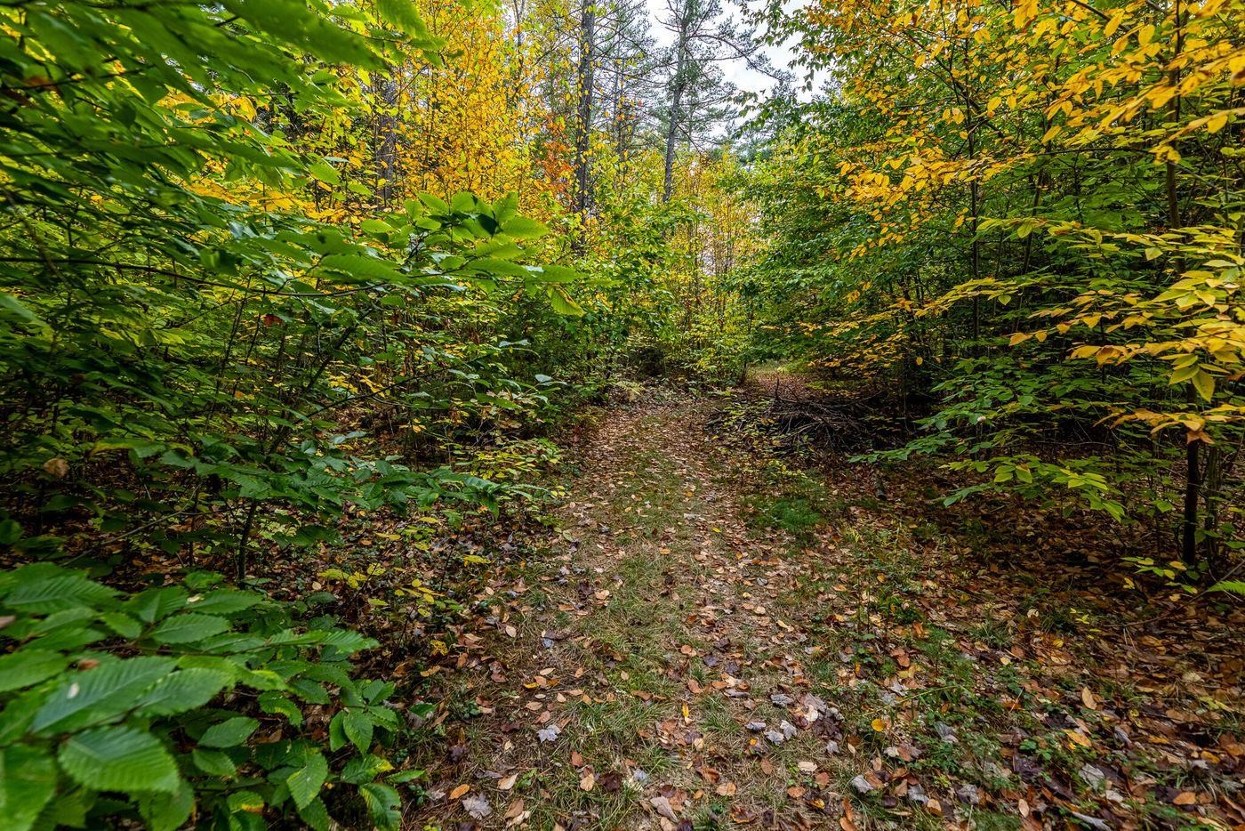 Forest Lake Road Winchester, NH 03470 - Photo 25 of 29