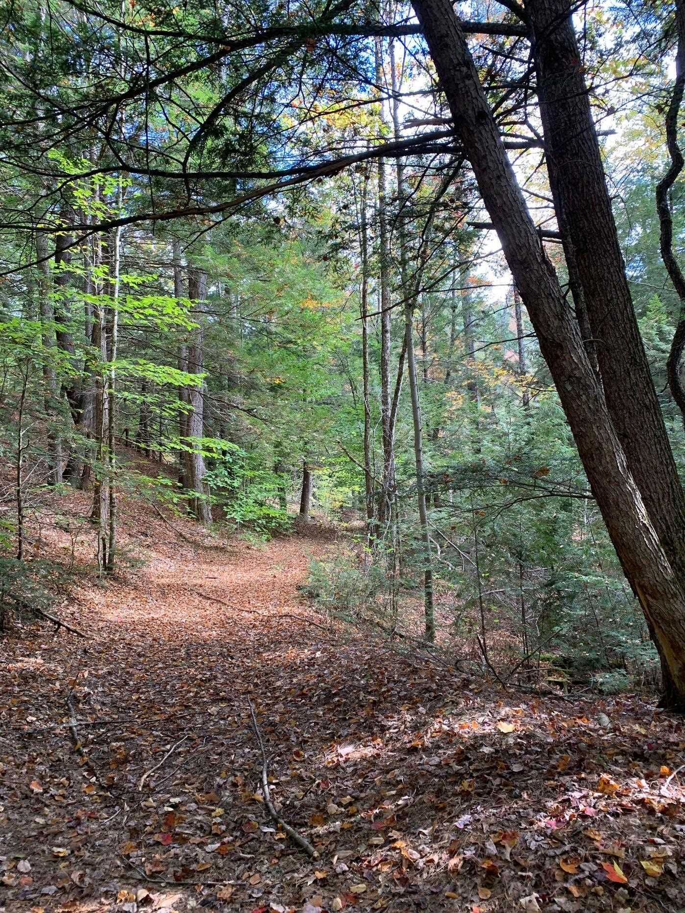 Forest Lake Road Winchester, NH 03470 - Photo 28 of 29