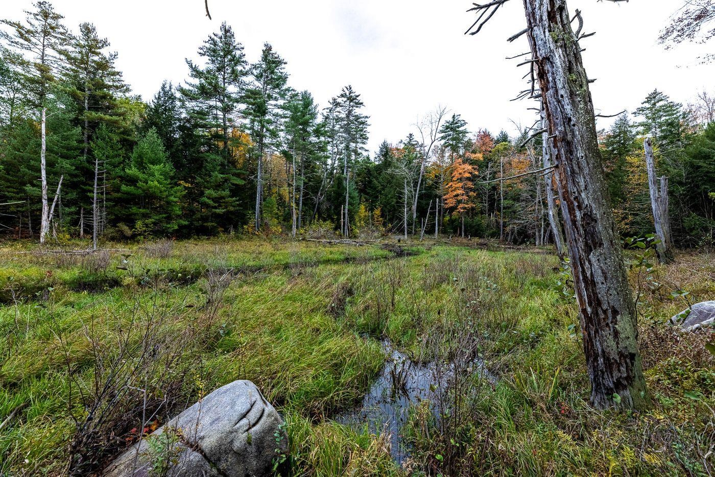 Forest Lake Road Winchester, NH 03470 - Photo 29 of 29