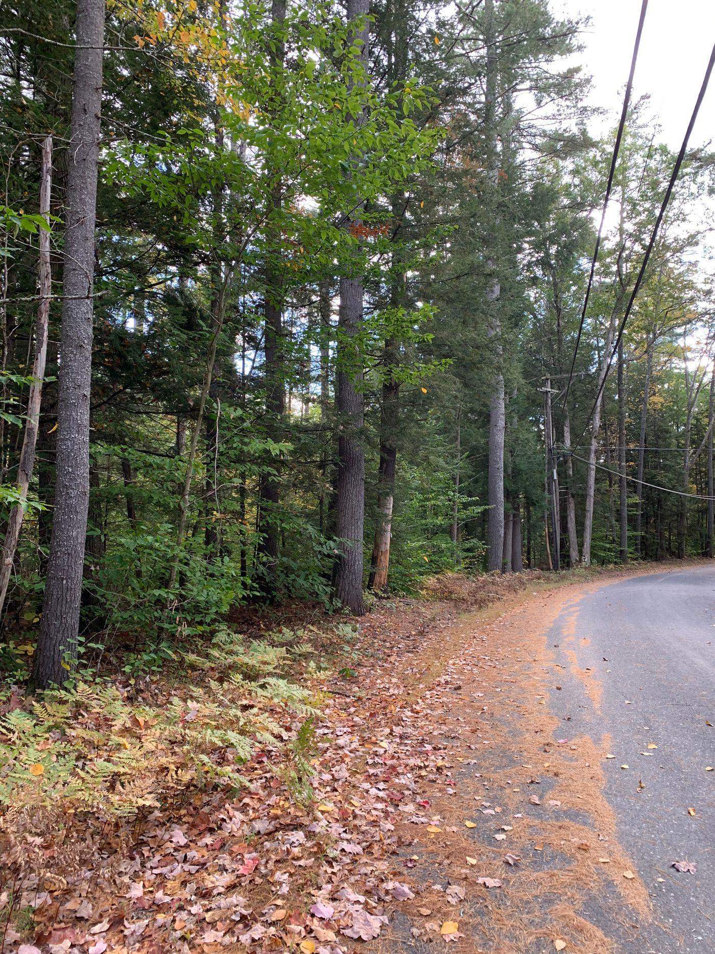 Forest Lake Road Winchester, NH 03470 - Photo 3 of 29