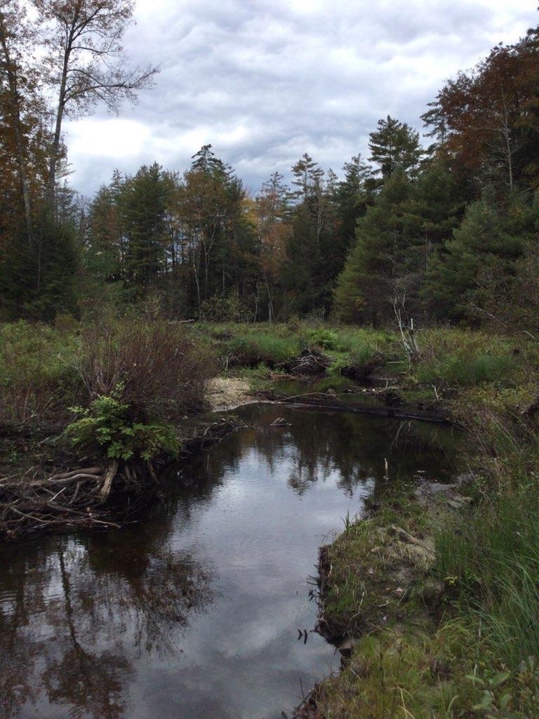 Forest Lake Road Winchester, NH 03470 - Photo 5 of 29