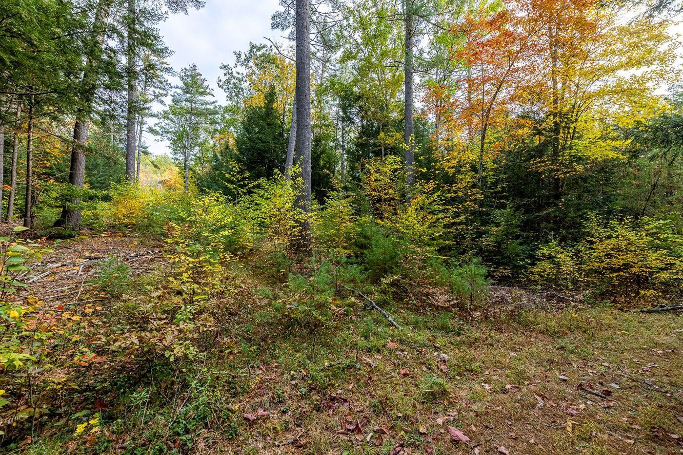 Forest Lake Road Winchester, NH 03470 - Photo 8 of 29