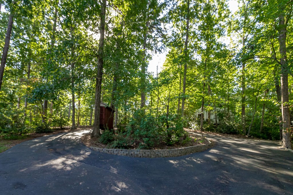 6105 Ridge Road Appling, GA 30802 - Photo 6 of 46 Circular drive