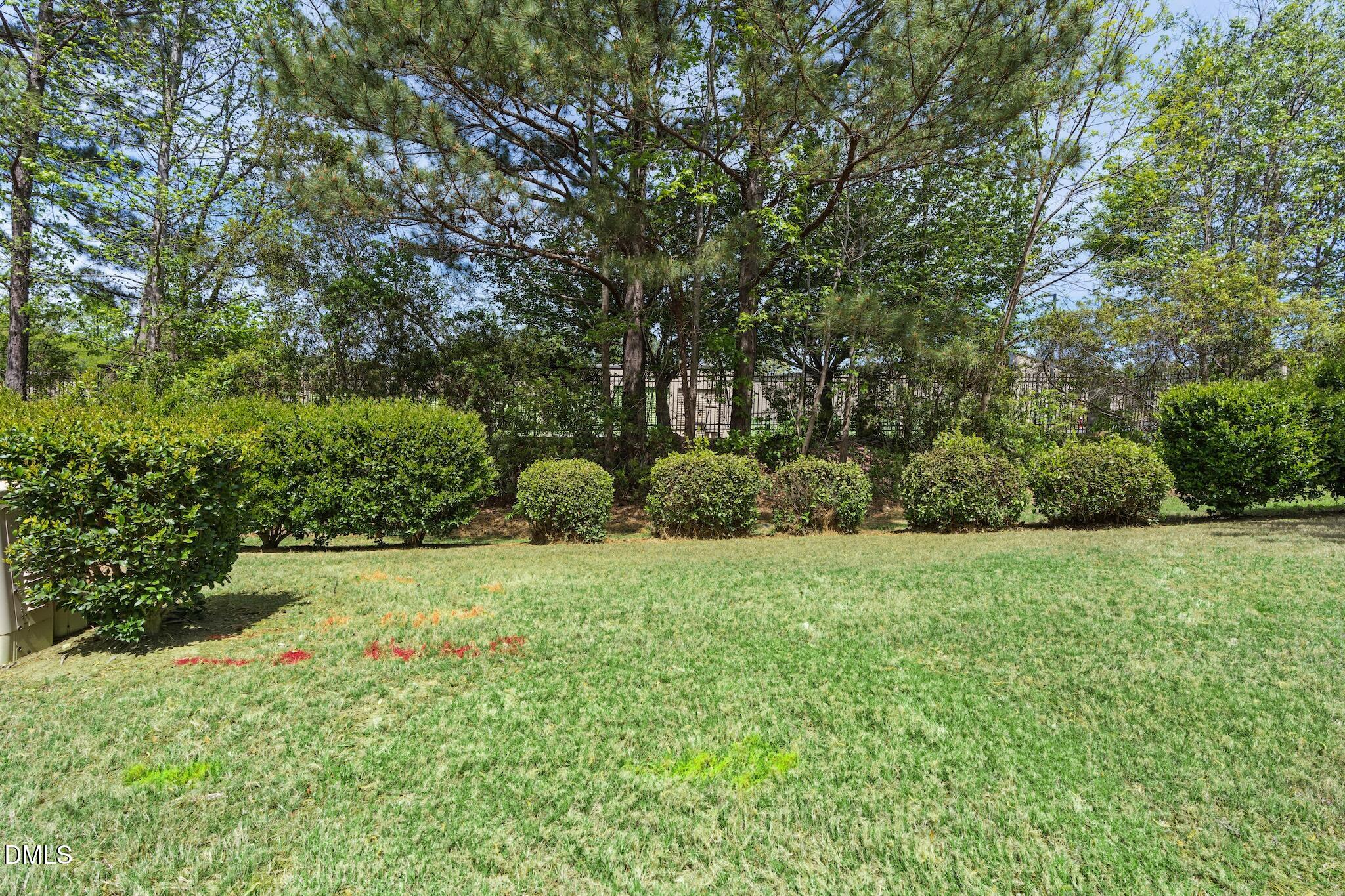 110 Marsena Lane Cary, NC 27513 - Photo 43 of 46 a view of a garden with a tree