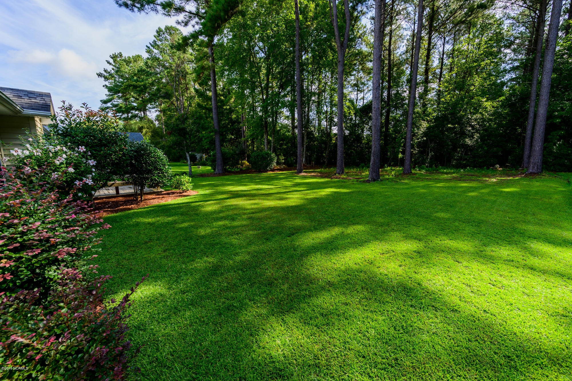433 Neuchatel Road New Bern, NC 28562 - Photo 3 of 30 back