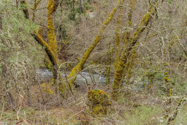 $375,000 | 21655 State Rte 26, West Point, CA 95255
