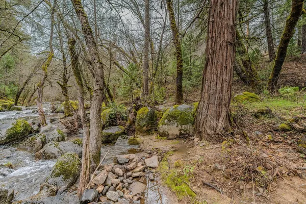 $375,000 | 21655 State Rte 26, West Point, CA 95255