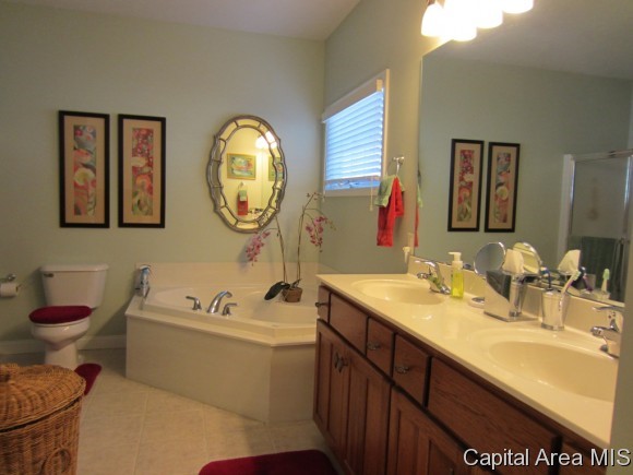 464 Elle Court Springfield, IL 62711 - Photo 11 of 21
