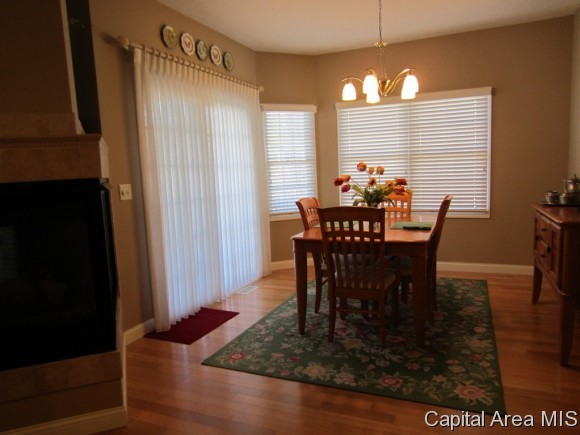 464 Elle Court Springfield, IL 62711 - Photo 8 of 21