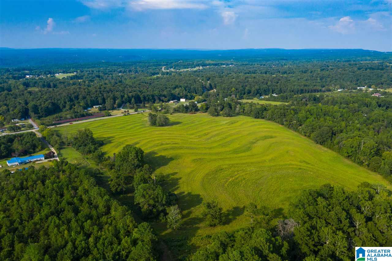 0 County Road 27, Unit 46 ACRES Springville, AL 35146 - Photo 10 of 11