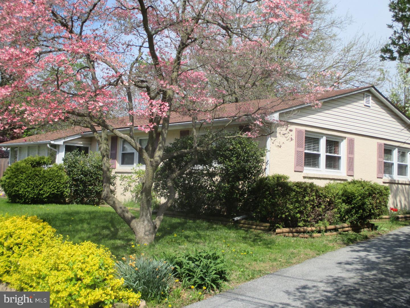 125 East Chelton Road Brookhaven, PA 19015 - Photo 1 of 12 Gallery Image 1