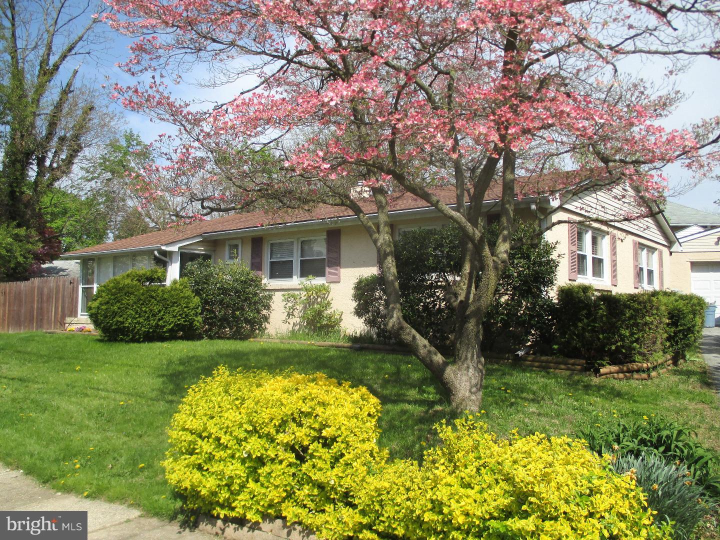 125 East Chelton Road Brookhaven, PA 19015 - Photo 12 of 12 Gallery Image 12