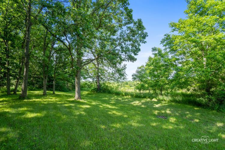 a big yard with lots of green space and deers