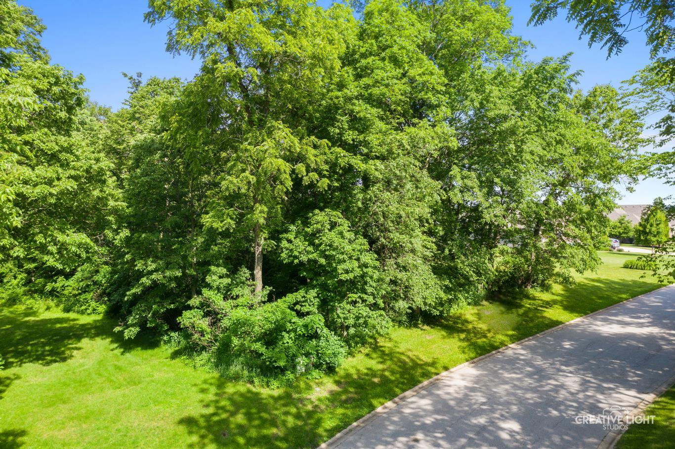 Lot #30 Mitchell Drive Plano, IL 60545 - Photo 3 of 12 a view of a garden