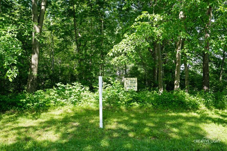 Lot #30 Mitchell Drive Plano, IL 60545 - Photo 9 of 12 a view of a lush green forest