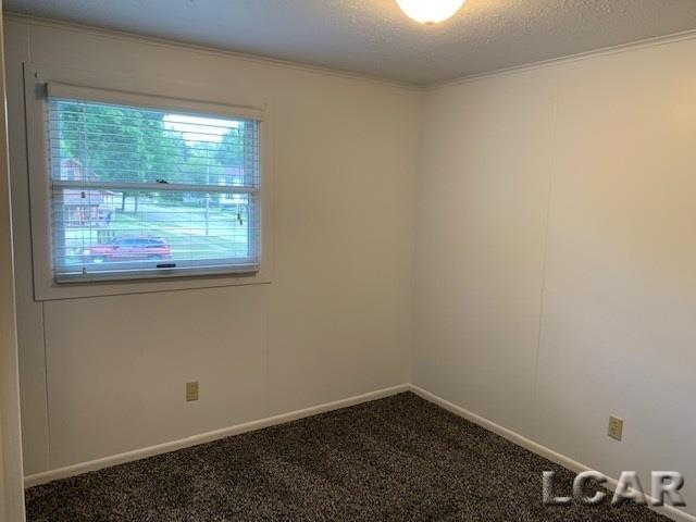 712 Company Street, Unit 2 Adrian, MI 49221 - Photo 6 of 7
