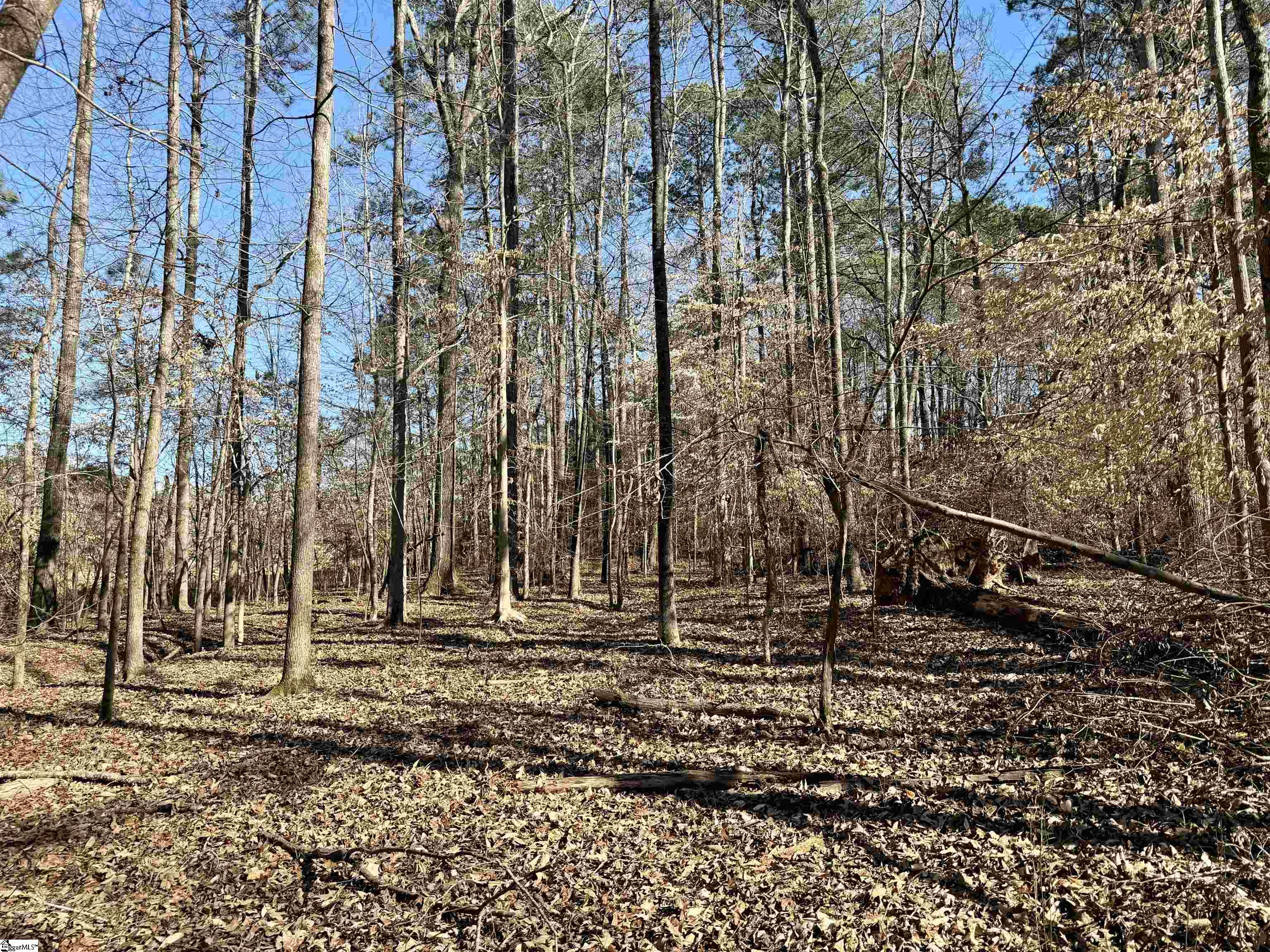 122-124 Lollis Road Greenwood, SC 29649 - Photo 2 of 8