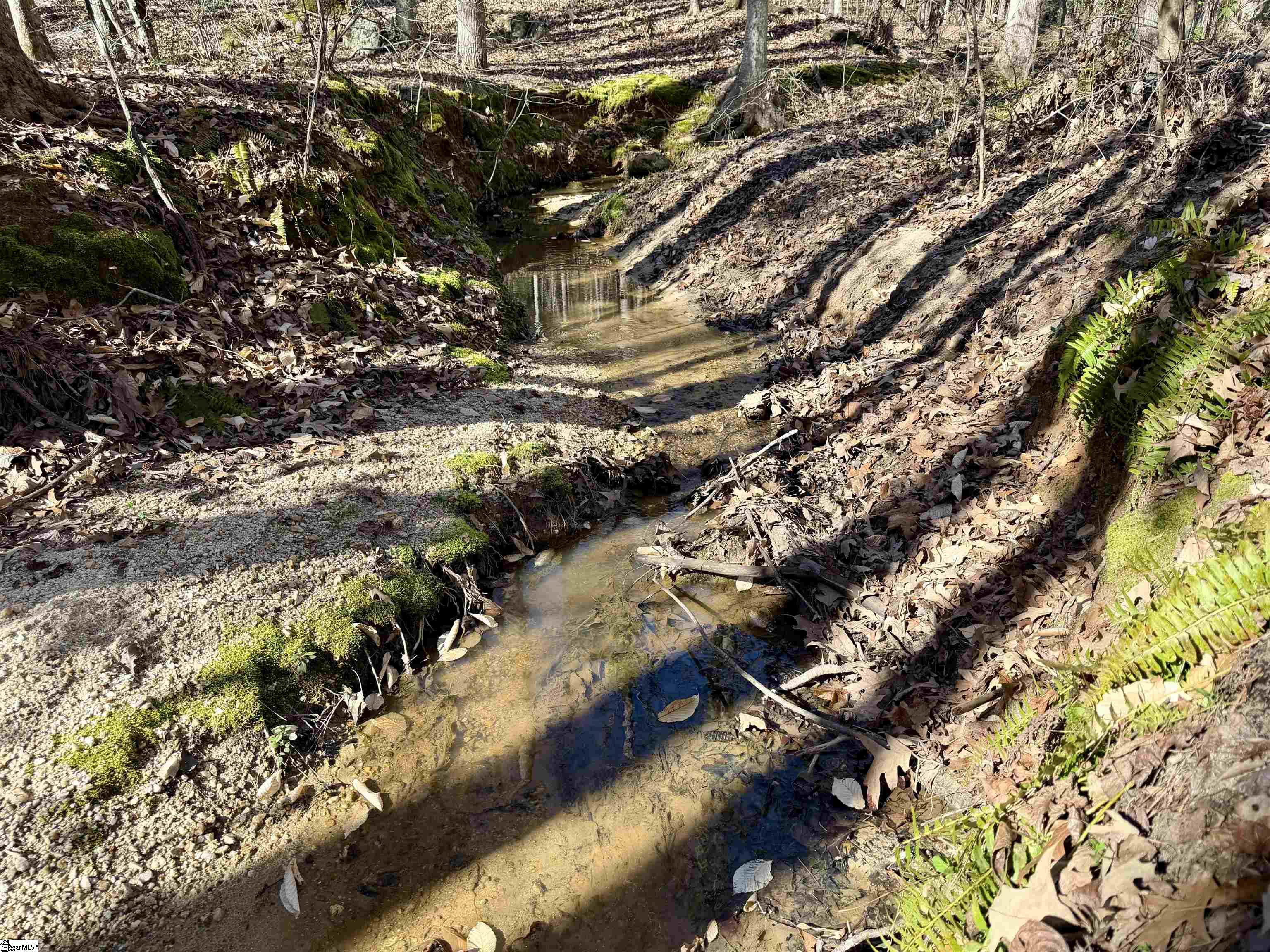 122-124 Lollis Road Greenwood, SC 29649 - Photo 3 of 8