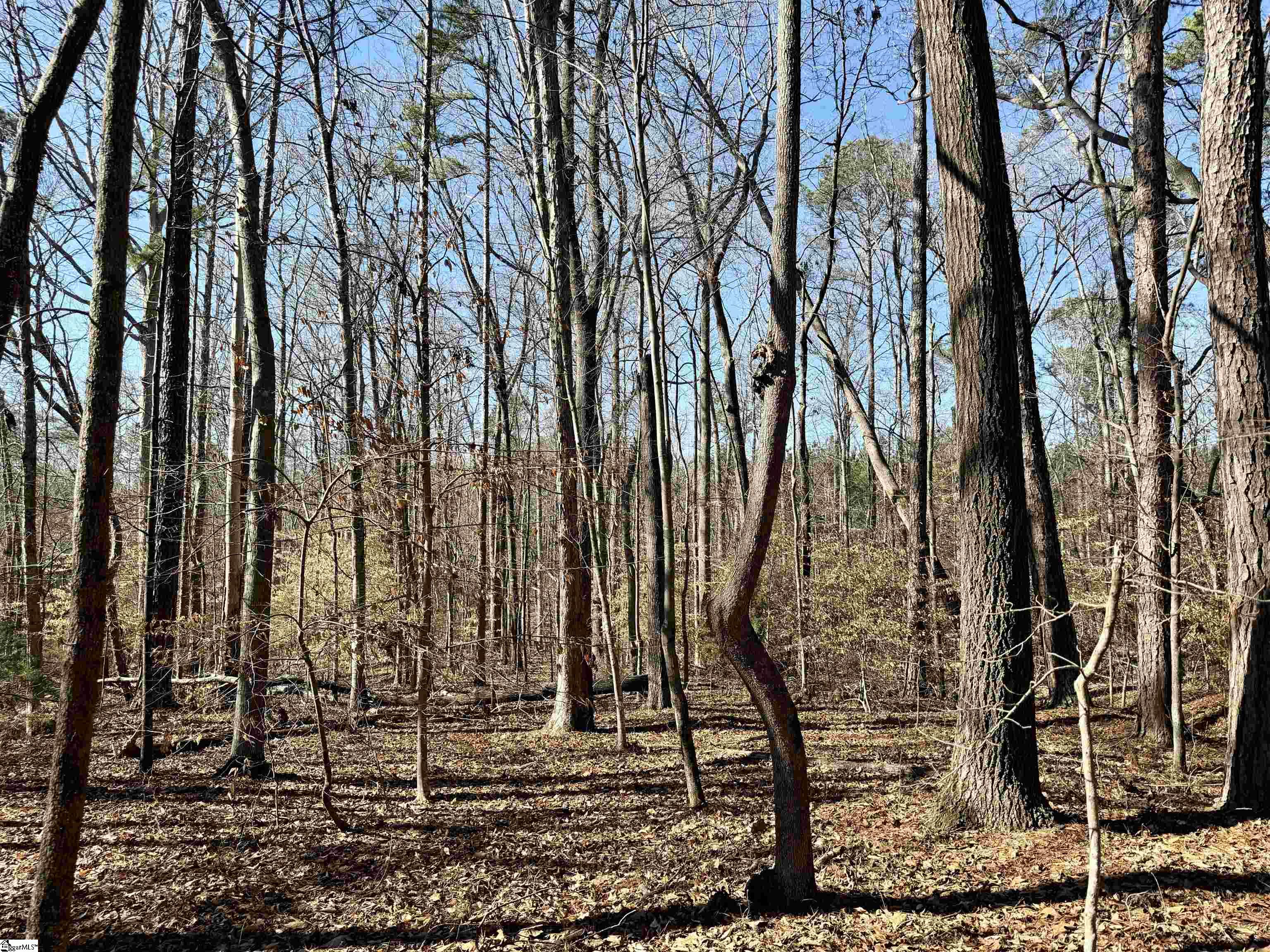 122-124 Lollis Road Greenwood, SC 29649 - Photo 6 of 8