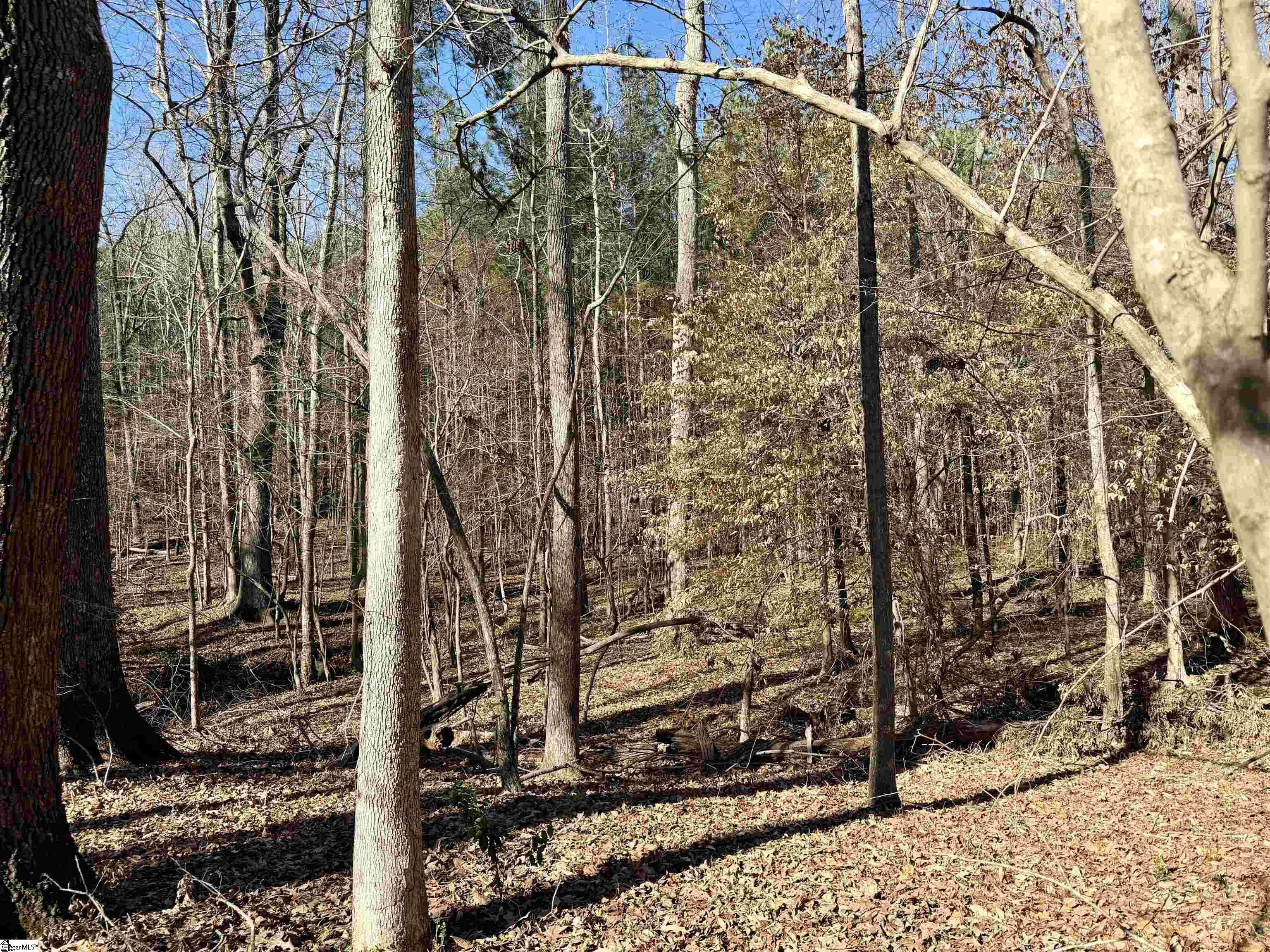 122-124 Lollis Road Greenwood, SC 29649 - Photo 7 of 8