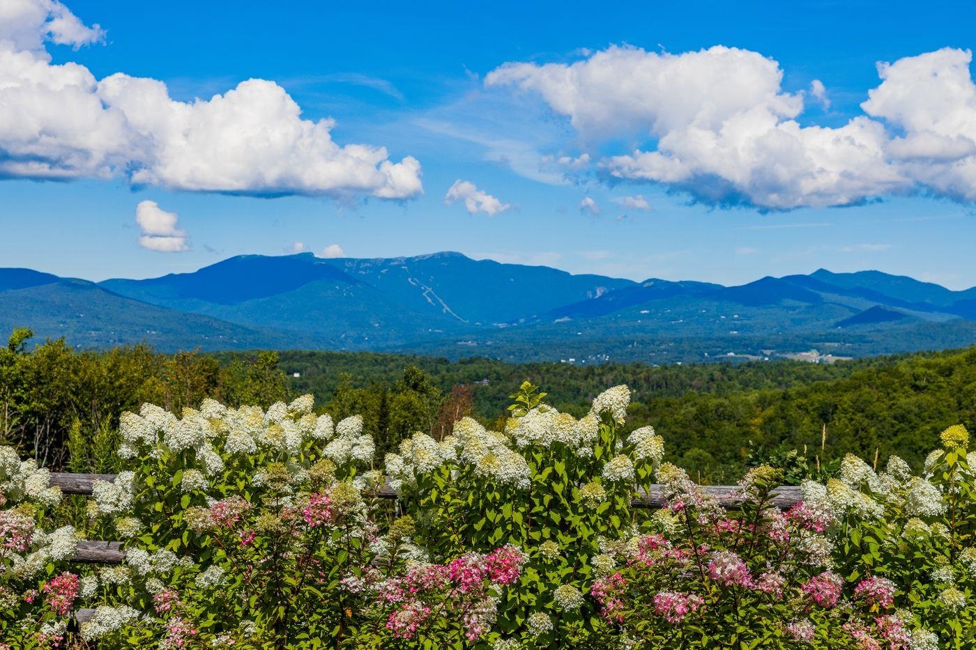 675 Putnam Forest Road Stowe, VT 05672 - Photo 46 of 57