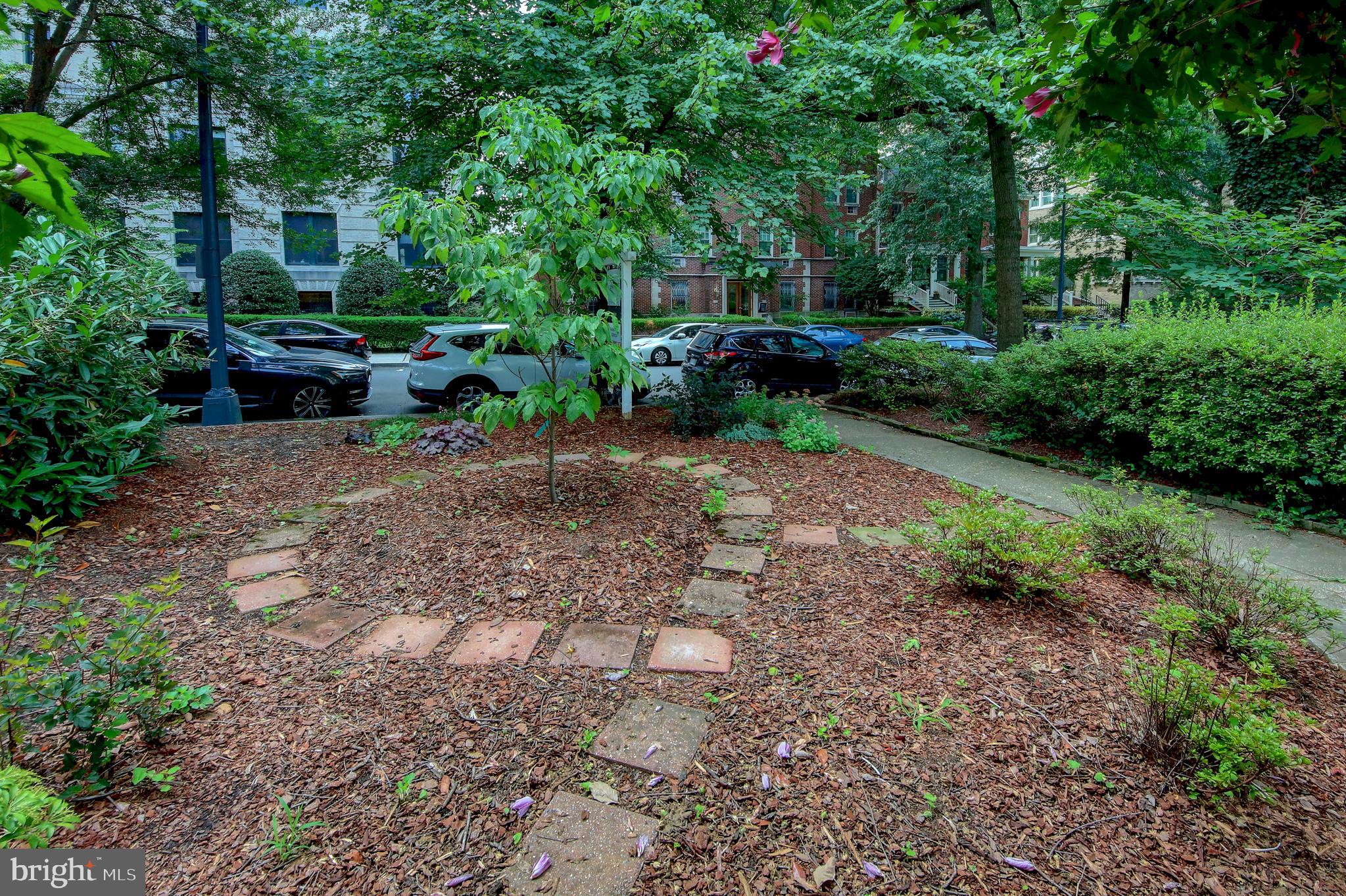 2007 B Kalorama Road Northwest, Unit B Washington, DC 20009 - Photo 14 of 38 Front yard