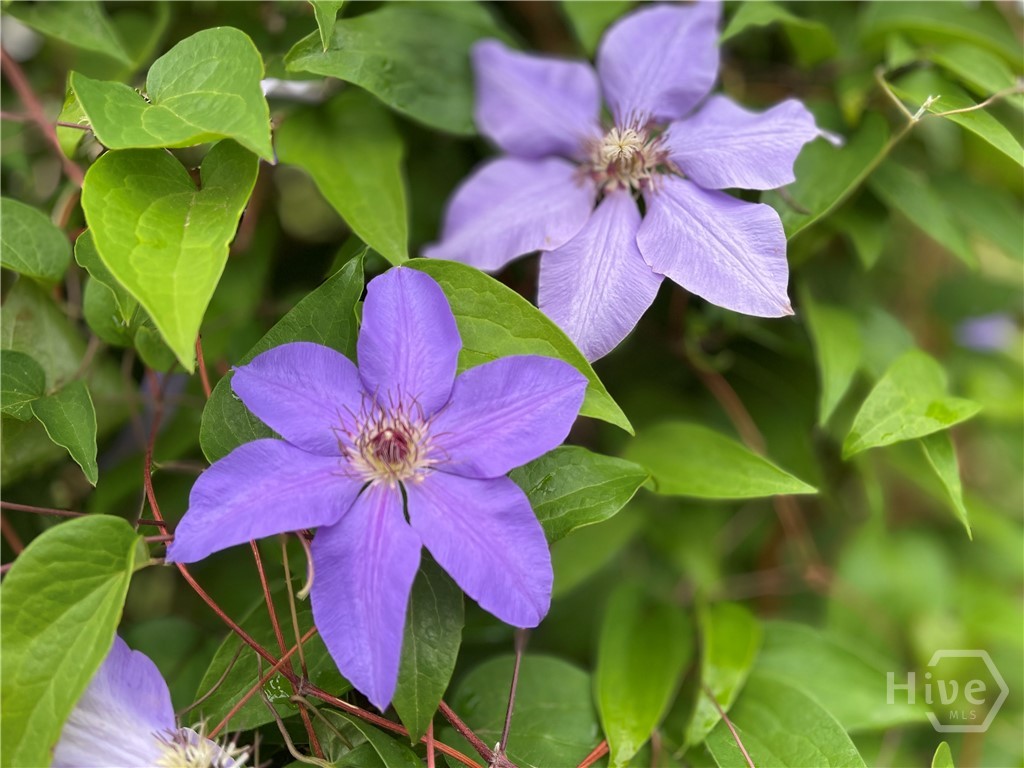 837 Bartram Trace Road Rayle, GA 30660 - Photo 57 of 70 Flowers in front of the guest house