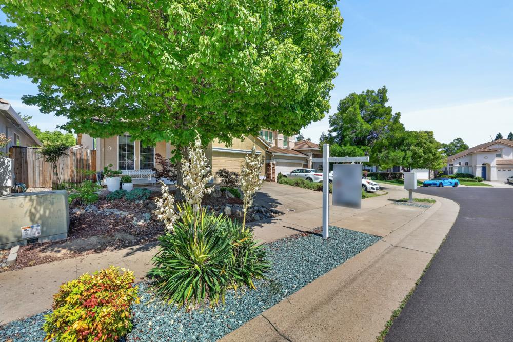 464 Sutherland Ranch Lane Roseville, CA 95678 - Photo 3 of 53