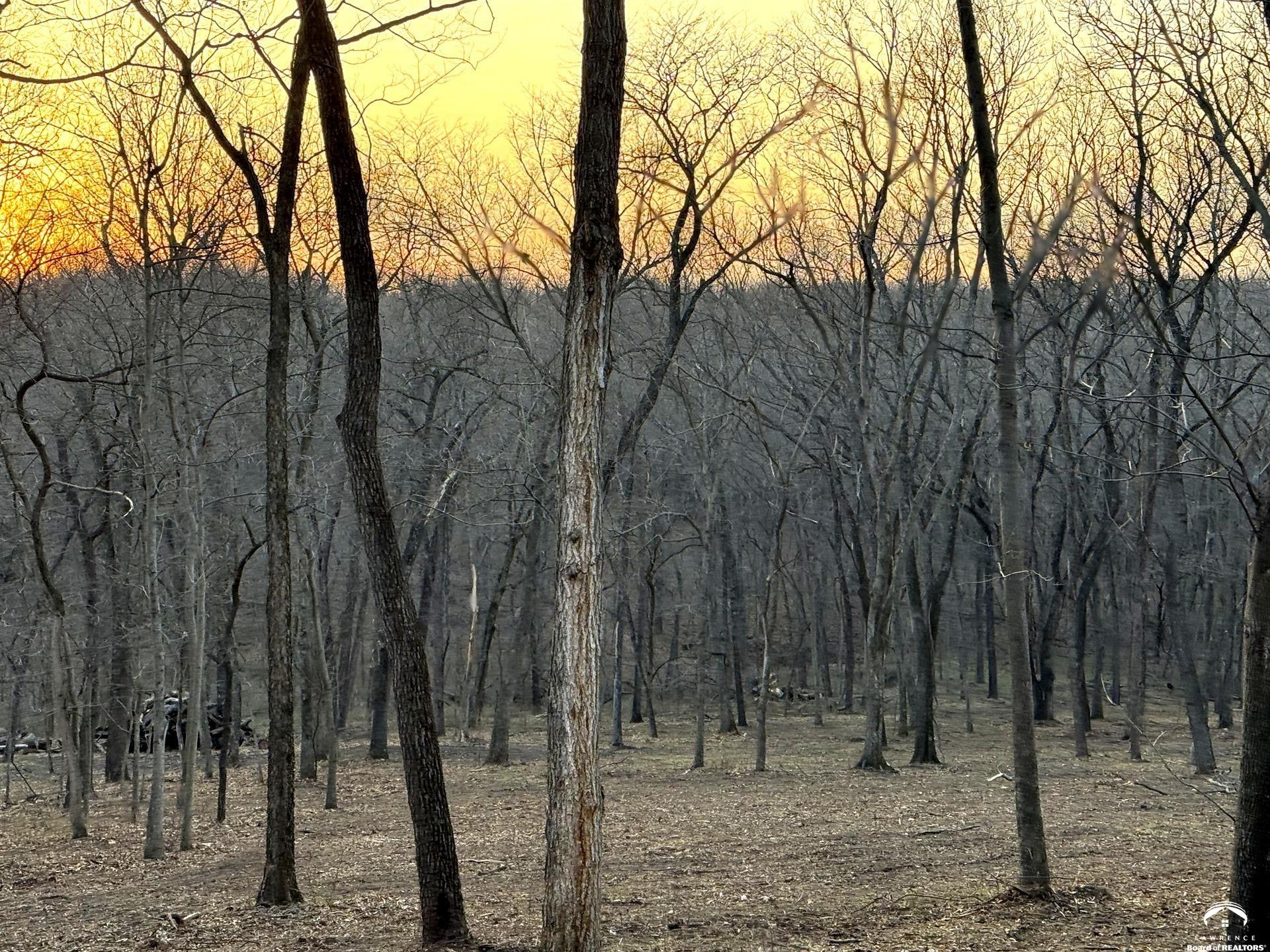 Lot 10 Lecompton Lecompton, KS 66050 - Photo 1 of 24