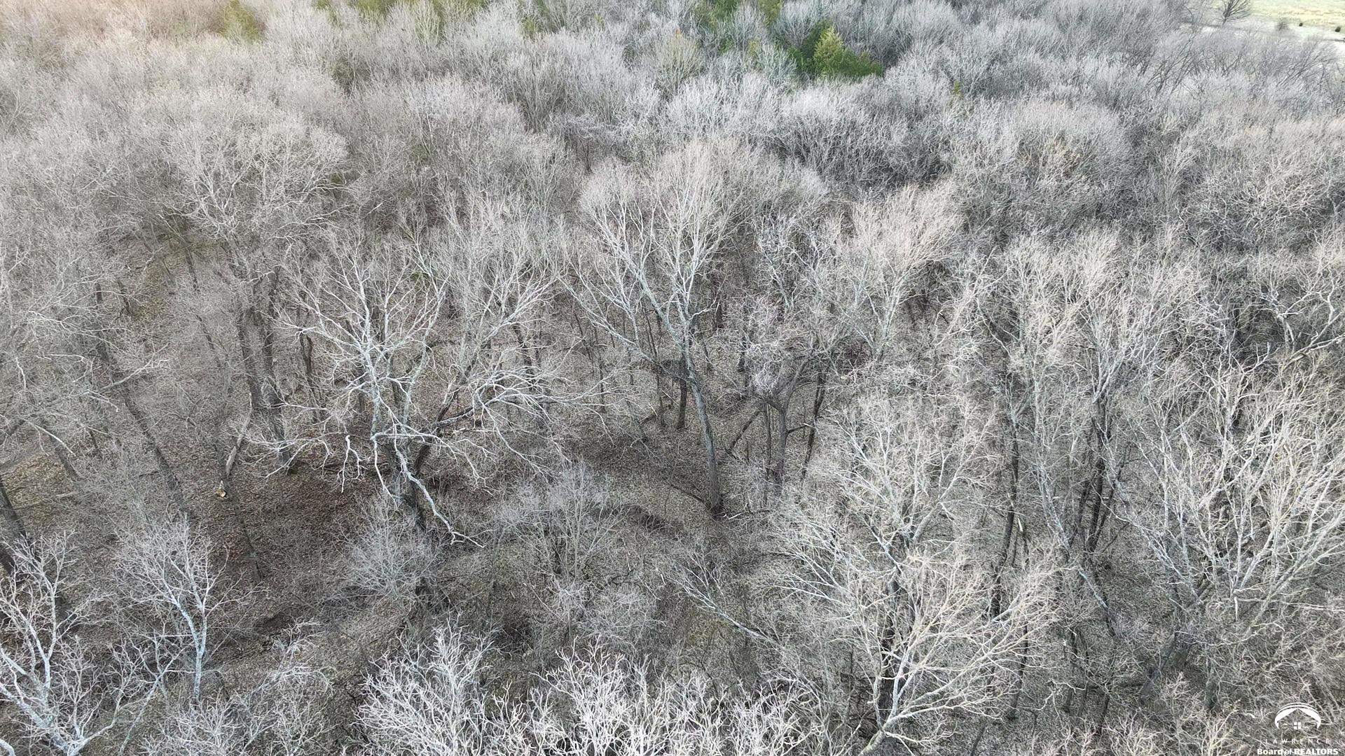 Lot 10 Lecompton Lecompton, KS 66050 - Photo 15 of 24