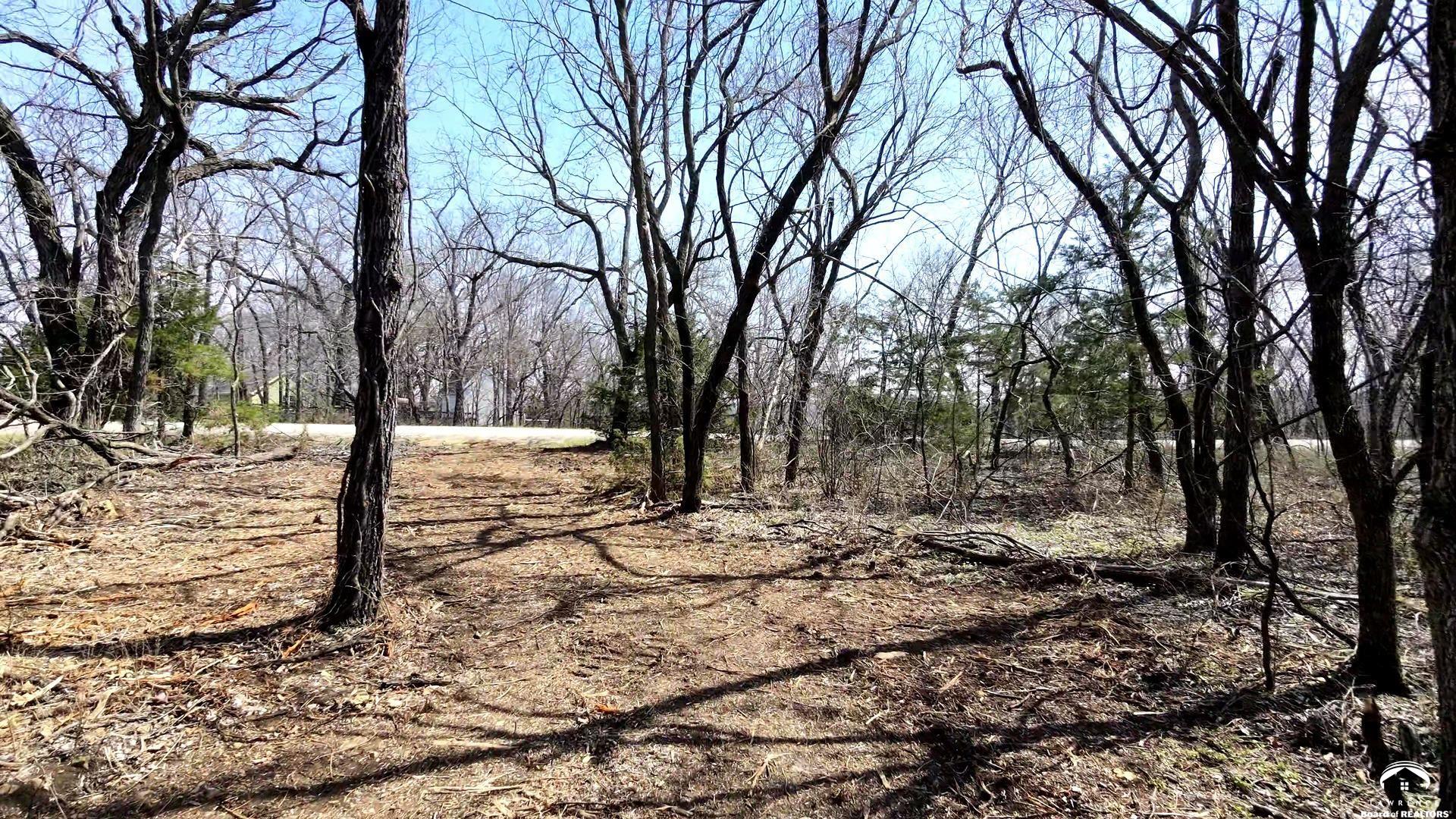 Lot 10 Lecompton Lecompton, KS 66050 - Photo 2 of 24