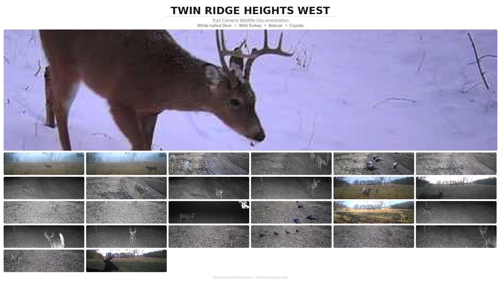 Lot 10 Lecompton Lecompton, KS 66050 - Photo 21 of 24