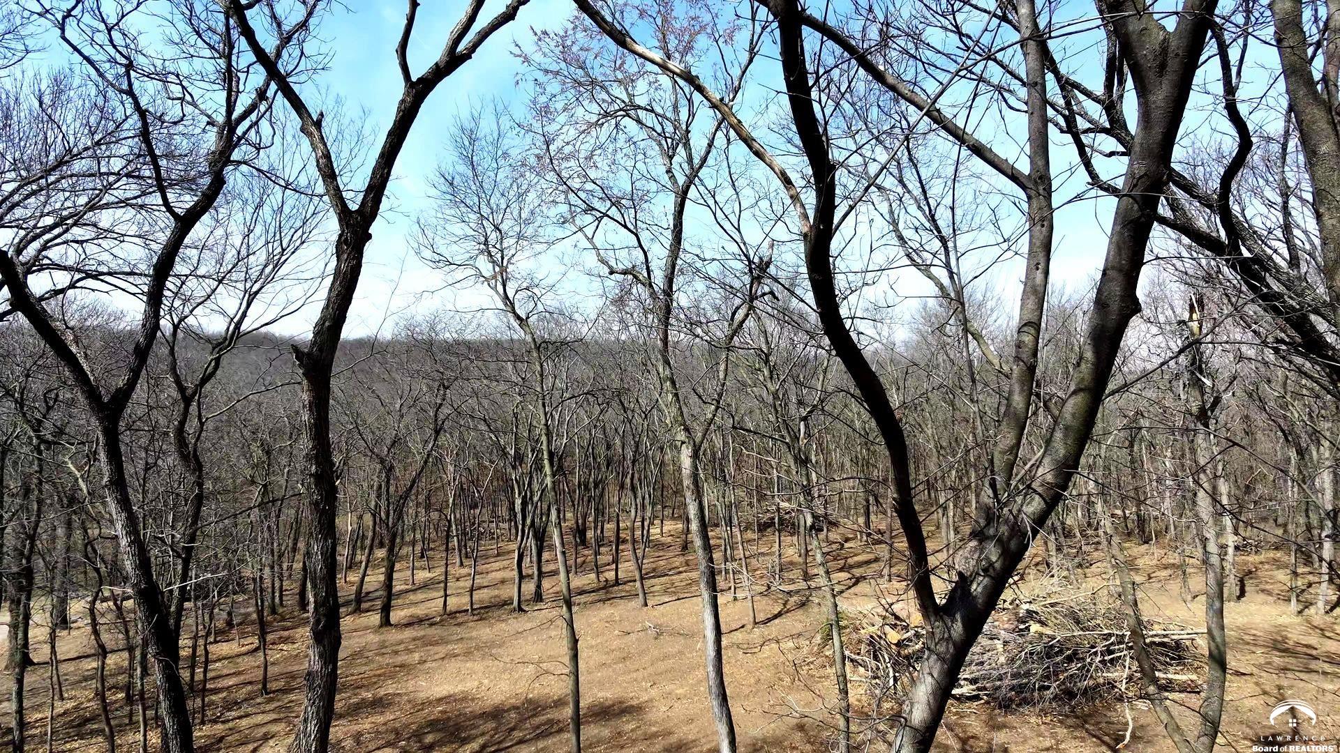 Lot 10 Lecompton Lecompton, KS 66050 - Photo 4 of 24