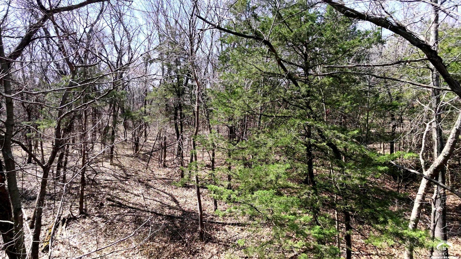 Lot 10 Lecompton Lecompton, KS 66050 - Photo 8 of 24