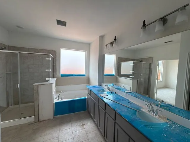 a bathroom with a double vanity sink a large mirror and shower