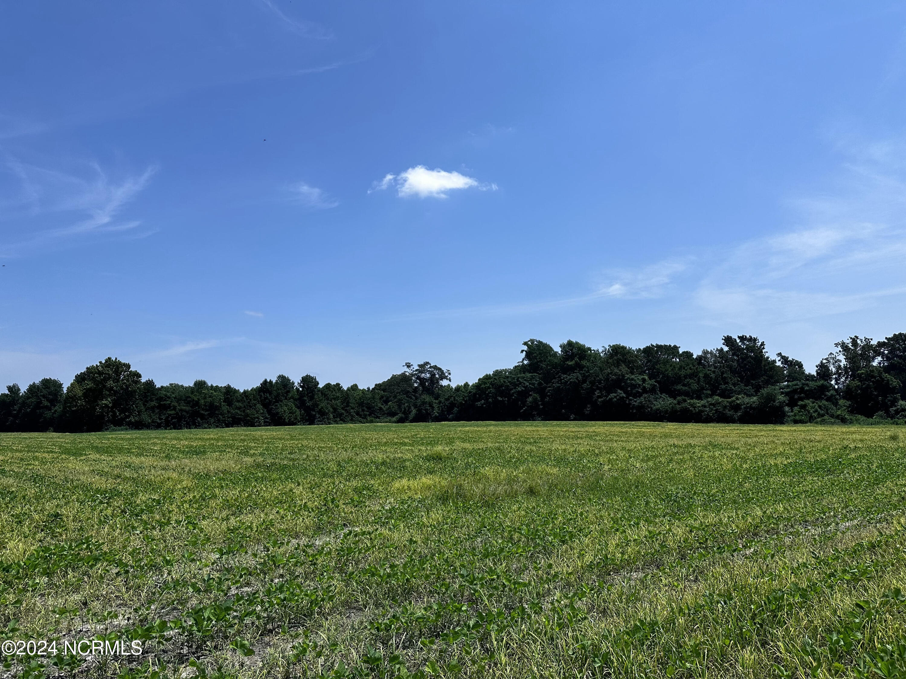 1236 Virginia Road Edenton, NC 27932 - Photo 7 of 8 IMG_9810