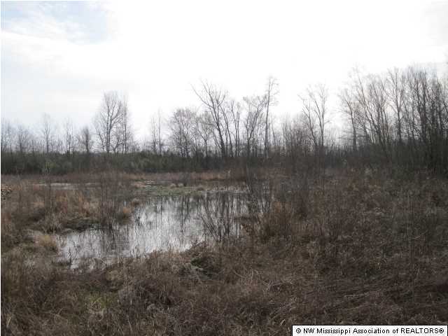 44 River Rhodes Road Holly Springs, MS 38635 - Photo 3 of 14 Additional Photo