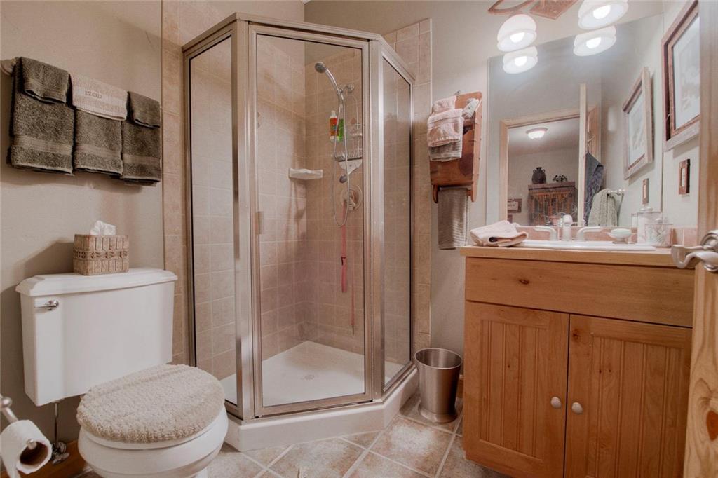 334 D Streamside Lane Frisco, CO 80443 - Photo 32 of 35 a bathroom with a toilet a sink and shower