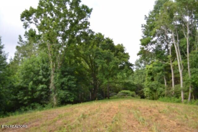 2390 Pea Ridge Fire Tower Road Celina, TN 38551 - Photo 16 of 35 DSC_0016
