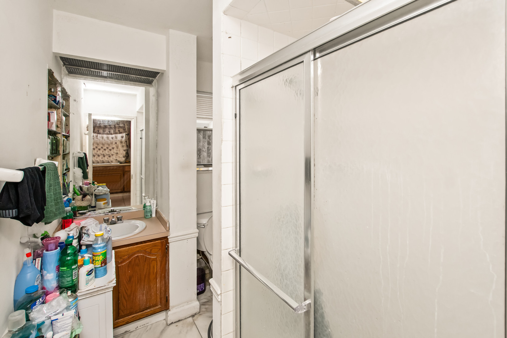 2238 West 21st Place Chicago, IL 60608 - Photo 17 of 37